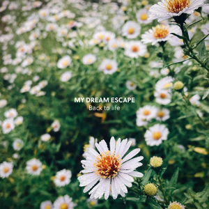 黑人狂躁日本艳妇A片软件下载
