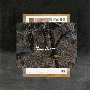 亚洲欧美性爱视频
