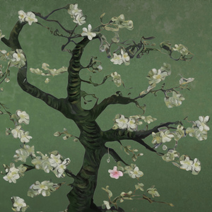 亚洲欧美性爱视频
