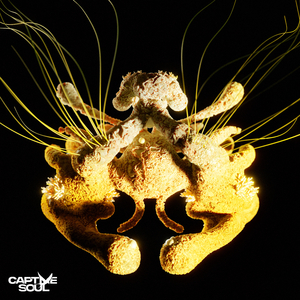 日本zoZ〇zoZ〇人交
