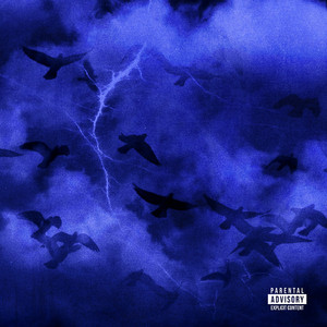 把腿张开我要插
