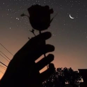 啊灬啊灬啊灬快灬高潮了抖音
