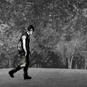 柏木舞子娘婿的感人故事知乎
