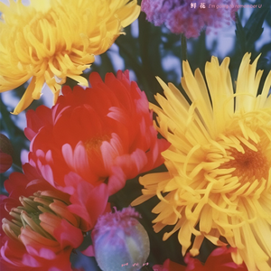 柏木舞子娘婿的感人故事知乎
