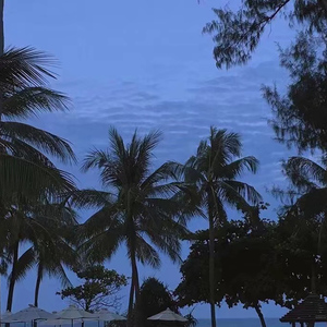 亚洲欧美性爱视频
