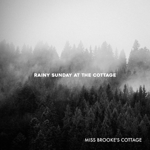 把腿张开我要插
